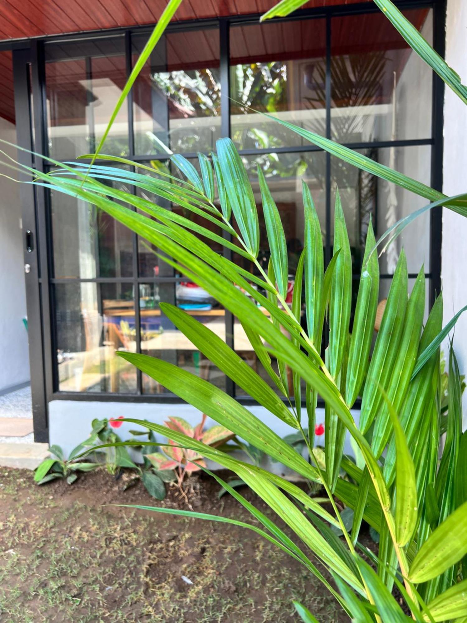 Ubud Arindra Private Pool Villa Exterior photo